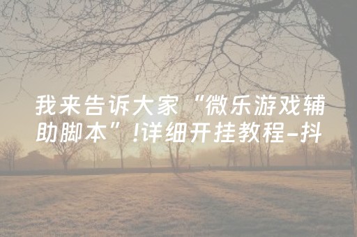 我来告诉大家“微乐游戏辅助脚本”!详细开挂教程-抖音