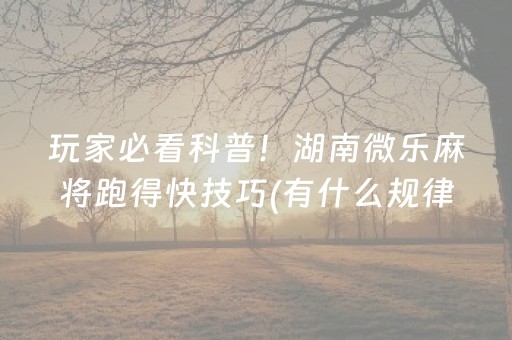 玩家必看科普！湖南微乐麻将跑得快技巧(有什么规律吗)