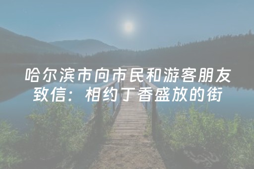 哈尔滨市向市民和游客朋友致信：相约丁香盛放的街头