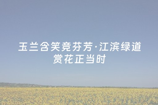 玩家实测“微乐江苏麻将助赢神器（专用辅牌神器免安装）