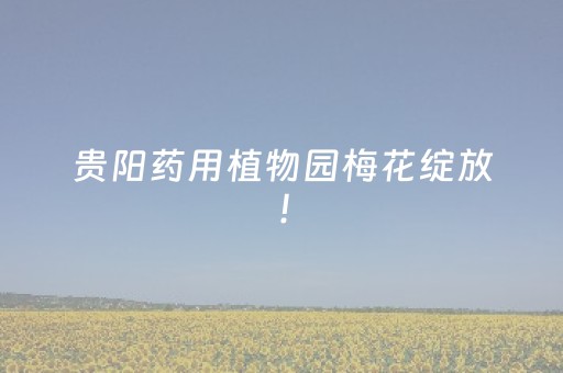 实测结果“微乐天津麻将助赢神器购买（助赢神器通用版）