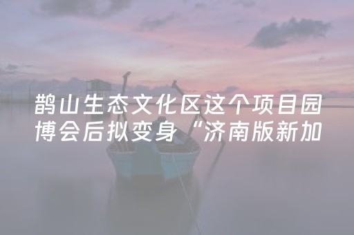 实测结果“边锋干瞪眼辅助器app（专用辅牌神器免安装）
