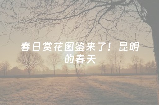 玩家必看攻略“山西扣点点麻将免费版”（详细透视教程）-哔哩哔哩