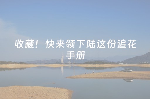 实测教程“data解码麻将软件下载”（详细透视教程）-哔哩哔哩