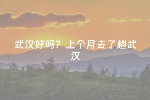 实测教程“微乐吉林麻将斗地主助赢神器（助赢神器通用版）