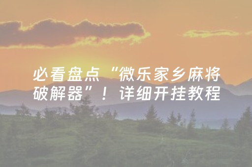 必看盘点“微乐家乡麻将破解器”！详细开挂教程（确实真的有挂)-抖音