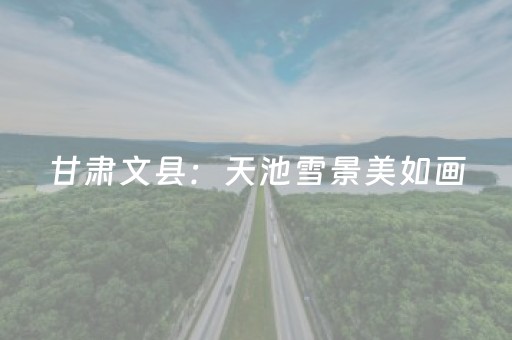 分享辅助“东游麻将软件打牌技巧（专用辅牌神器免安装）