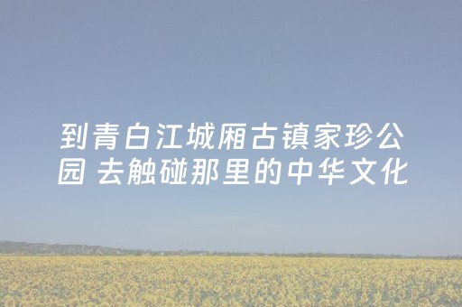 玩家必看攻略“微乐麻将必备神器（助赢神器通用版）