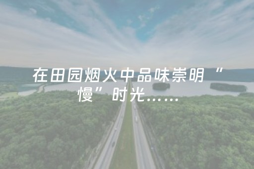 分享辅助“中至玉山打炸辅助器（专用辅牌神器免安装）