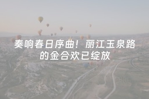 终于发现了“钱塘十三水怎么调胜率”（详细透视教程）-哔哩哔哩