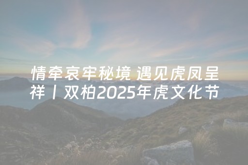 实测分析“闲来十三水外挂可靠吗”（详细辅助教程）-哔哩哔哩