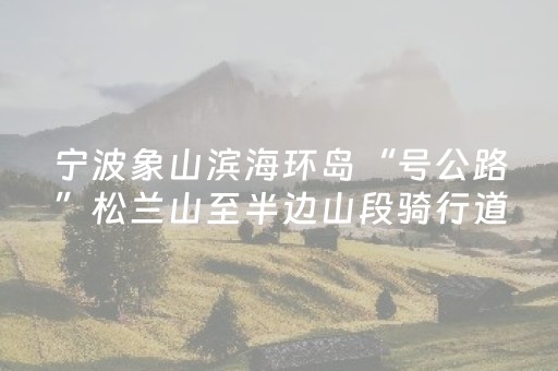 实测结果“麻将程序控牌器免安装（助赢神器通用版）