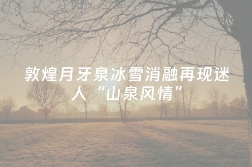必看教程“微乐甘肃麻将如何提高胡牌（专用辅牌神器免安装）