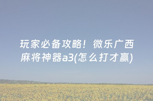 终于发现了“闲逸跑得快神器通用版”（详细透视教程）-哔哩哔哩