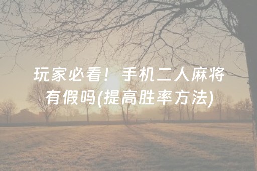 玩家必看！手机二人麻将有假吗(提高胜率方法)