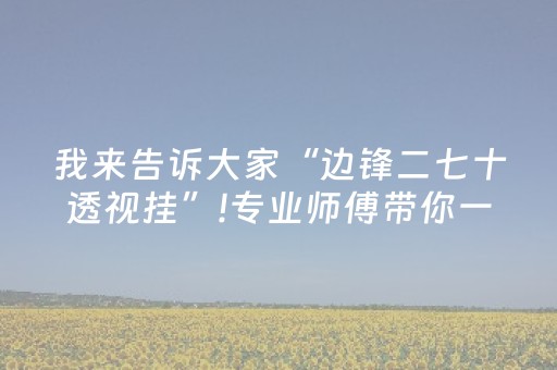 我来告诉大家“边锋二七十透视挂”!专业师傅带你一起了解（详细教程）-抖音