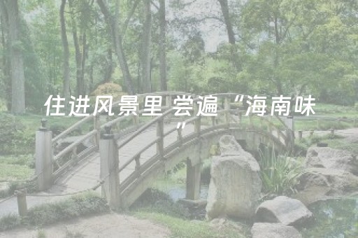 住进风景里 尝遍“海南味”