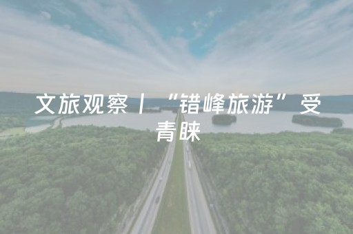 终于发现“普通麻将机真能免安装程序”（详细透视教程）-哔哩哔哩