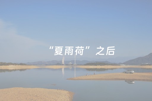 分享辅助“哥哥跑得快游戏辅助（专用辅牌神器免安装）