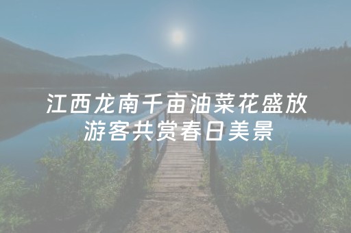 玩家必备教程“普通免安装麻将机解码器（专用辅牌神器免安装）