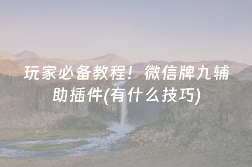 玩家必备教程！微信牌九辅助插件(有什么技巧)