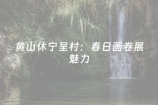 实测分享“功夫麻将专用神器（助赢神器通用版）