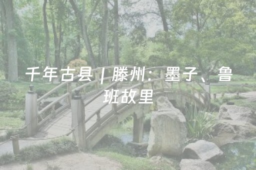 终于发现“手机金花辅助器通用版苹果（专用辅牌神器免安装）
