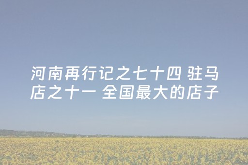玩家必看教程！“微乐陕西红中麻将助赢神器购买”（详细辅助教程）-哔哩哔哩