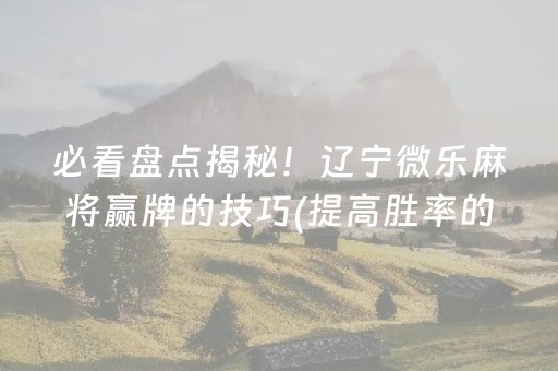 玩家实测“功夫麻将软挂神器（助赢神器通用版）