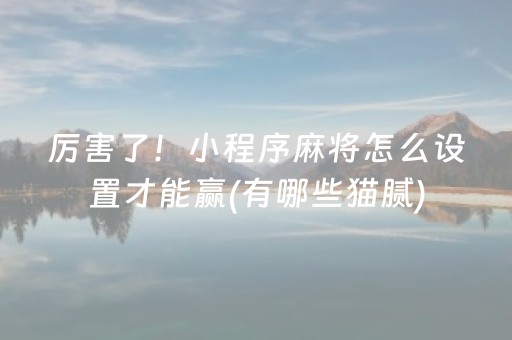 厉害了！小程序麻将怎么设置才能赢(有哪些猫腻)