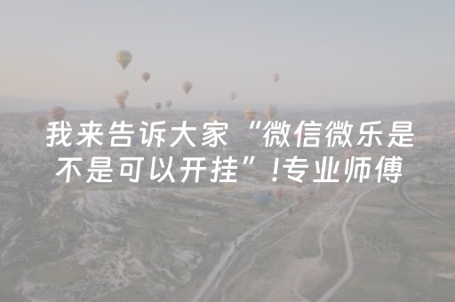 实测分享“手机麻将软挂神器（助赢神器通用版）