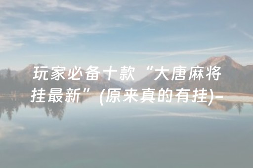 玩家必备十款“大唐麻将挂最新”(原来真的有挂)-抖音