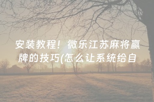 实测教程“手机拼三张外挂”（详细透视教程）-哔哩哔哩