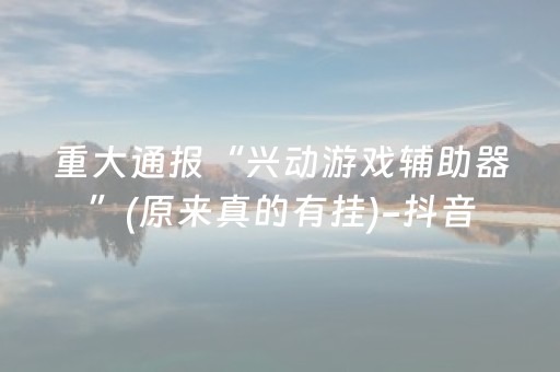 重大通报“兴动游戏辅助器”(原来真的有挂)-抖音