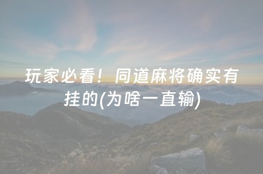 教程辅助“微乐福建麻将提高胜率（专用辅牌神器免安装）