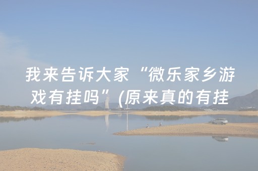 我来告诉大家“微乐家乡游戏有挂吗”(原来真的有挂)-抖音
