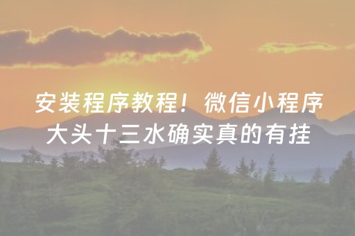 安装程序教程！微信小程序大头十三水确实真的有挂(有输赢规律吗)