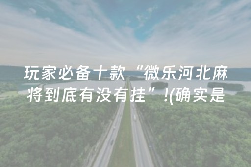 玩家必备十款“微乐河北麻将到底有没有挂”!(确实是有挂)-抖音