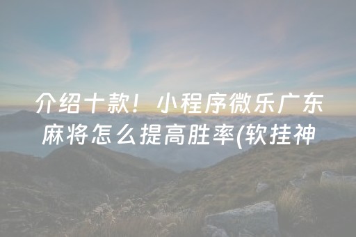 介绍十款！小程序微乐广东麻将怎么提高胜率(软挂神器)