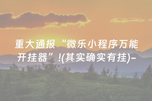 重大通报“微乐小程序万能开挂器”!(其实确实有挂)-抖音