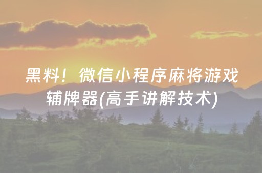 实测分享“微信小程序雀神辅助器安装包（助赢神器通用版）