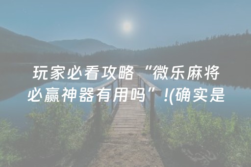 实测辅助“中至小程序辅助器（专用辅牌神器免安装）