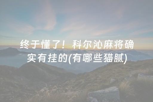 终于懂了！科尔沁麻将确实有挂的(有哪些猫腻)