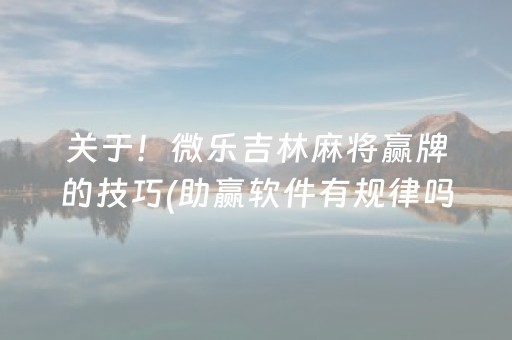 关于！微乐吉林麻将赢牌的技巧(助赢软件有规律吗)