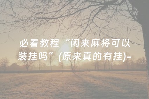 3分钟学会“决胜麻将挂先试用后付款（专用辅牌神器免安装）