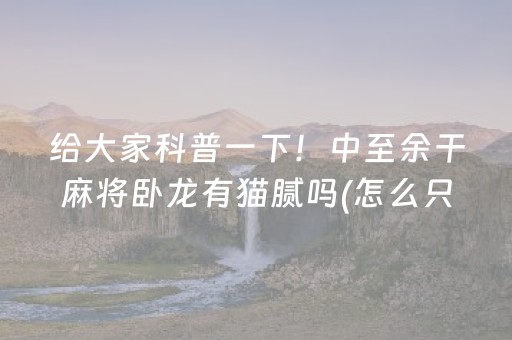 给大家科普一下！中至余干麻将卧龙有猫腻吗(怎么只赢不输)