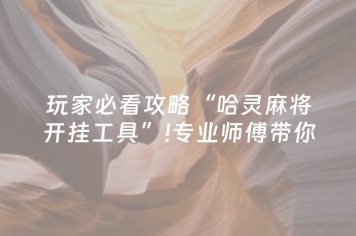 玩家必看攻略“哈灵麻将开挂工具”!专业师傅带你一起了解（详细教程）-抖音