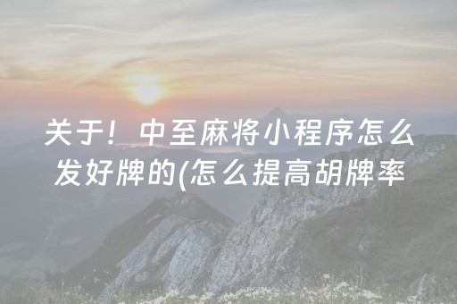 实测辅助“程序麻将机自己安装（专用辅牌神器免安装）