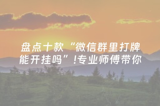 3分钟学会“钱塘十三水通用辅助器”（详细透视教程）-哔哩哔哩