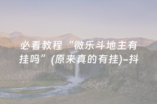 必看教程“微乐斗地主有挂吗”(原来真的有挂)-抖音